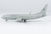 Boeing 737-700 Argentine Air Force T-99 77048