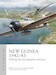 Air Campaign 56. New Guinea 1942-43