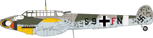 Messerschmitt BF110G Luftwaffe II./ZG 1 Wespen, S9+FN, Montecorvino, Italy, Summer 1943  AC115