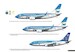 Plumaje de Condor, Los Coloros de Aerolineas, Argentinas  9781304387745