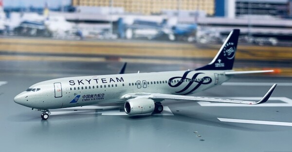 Boeing 737-800 China Southern SkyTeam B-5640 202038