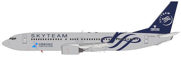 Boeing 737-800 China Southern SkyTeam B-5640 202038