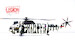 Westland Sea King HC.4, 848 Naval Air Squadron, Commando Helicopter Force, Royal Naval Air Station Yeovilton,Somerset 2009 Winter Camo 14008LA