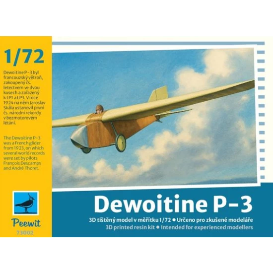 Dewoitine P3 glider  73002