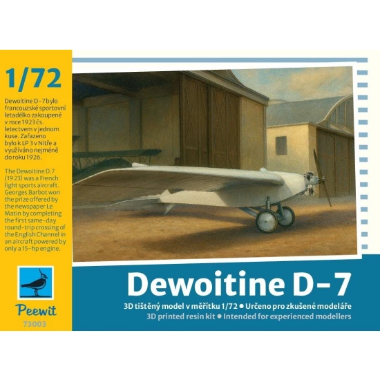 Dewoitine D7 Light Sport Aircraft  73003