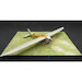 Dewoitine D7 Light Sport Aircraft  73003