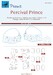 Percival Prince Canopy and windows, wheel Mask (Valom) M72355