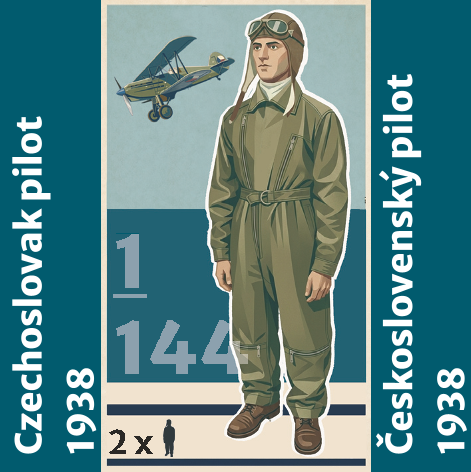 Czechoslovak Pilot in 1938 (2 ) PEW145001
