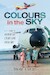 Colours in the Sky; The History of Autair and Court Line Aviation 