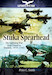 Stuka Spearhead