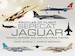 Profiles of Flight: SEPECAT Jaguar Tactical Support and Maritime Strike Fighter 