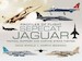 Profiles of Flight: SEPECAT Jaguar Tactical Support and Maritime Strike Fighter