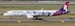 Airbus A321neo Hawaiian Air Lilo & Stitch N216HA