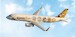 Airbus A320 Tigerair Taiwan Momotaro x Tigerbuddy B-50005