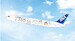Boeing 767-300ER ANA All Nippon Chiikawa JA609A 