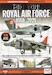 Modelling the Royal Air Force 1950-2025 
