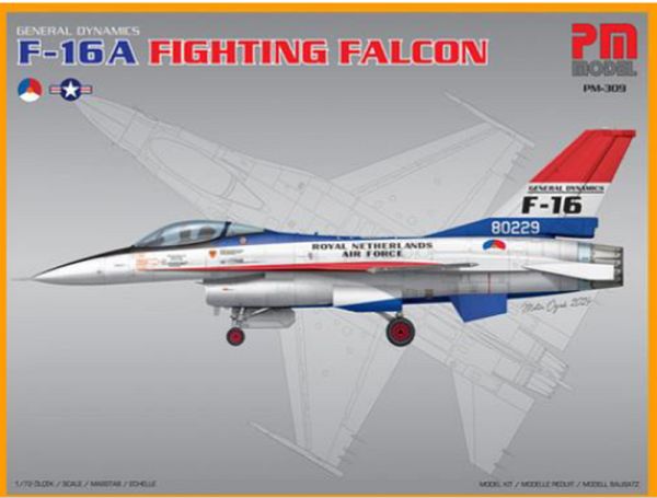 F16A Fighting Falcon Dutch & US Air Forces PM3009