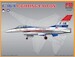 F16A Fighting Falcon Dutch & US Air Forces 