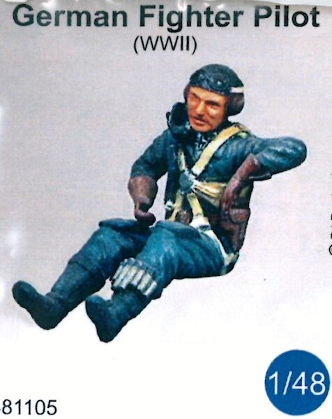 German Pilot WW2 481105