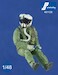US pilot with JHMC Helmet seated in a/c 481128