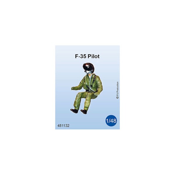 F35 Lightning II (JSF) Pilot seated in Aircraft (LAST STOCKS) 481132