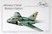 Heinkel P1080 " Ramjet Fighter" PLT141