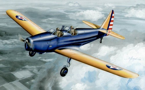 PT19 Cornell "US Basic Trainer" PLA142
