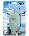Keychain made of: United Airlines Boeing 767 N646UA 