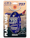 Keychain made of: Sun Country Airlines 737 N713SY Blue 