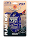 Keychain made of: Sun Country Airlines® 737 N713SY Blue 