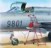 Ladder Mig-21 Fishbed PM-AL4037