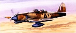 Hawker Sea Fury T61  PM214