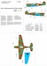 P40E  Kittyhawk IIa (CCCP P.A. Pokryshev)  32324