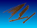 Radar SN2 for Heinkel He219 (Revell) PFM320121