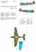 P40E  Kittyhawk IIa (CCCP P.A. Pokryshev)  32324