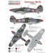 Hurricane Mk.IIB/C  (Portugese AF)  PTC48001