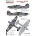 Hurricane Mk.IIB/C  (Portugese AF)  PTC48001