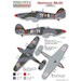 Hurricane Mk.IIB/C  (Portugese AF)  PTC48001