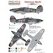 Hurricane Mk.IIB/C  (Portugese AF)  PTC48001
