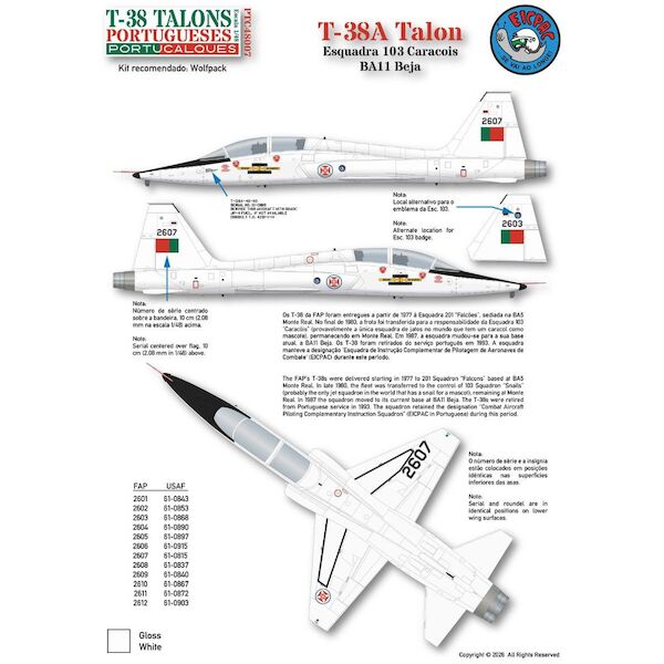 T-38A Talon (Portugese AF)  PTC48007