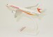 Boeing 737-700 Surinam Airways PZ-TCS  221430