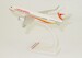 Boeing 737-700 Surinam Airways PZ-TCS  221430