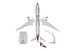 Boeing 787-9 Dreamliner Hawaiian N781HA 224257