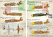Fiat G50 Freccia part 1 PRS48-145