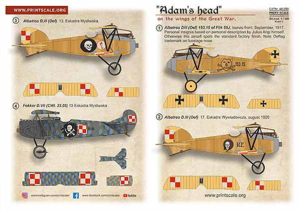 Adam`s head on the wings of the Great War Part 1 (Albatros DIII, Fokker DVII) PRS48-250