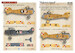 Adam`s head on the wings of the Great War Part 1 (Albatros DIII, Fokker DVII) PRS48-250