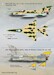 Mikoyan MiG19s and Mikoyan MiG21s of the Arab Air Force  PRS72-126