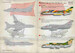 Suchoi Su17 / SU20 /Su22 Fitter Part 2 (Luftwaffe, USSR)  PRS72-179
