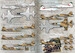 Northrop F-5A/F-5B/F-5E/F-5F/RF-5A Tiger II Iranian Air Force  PRS72-229