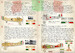 Italian Aces of World war 1 Part 2 PRS72-301